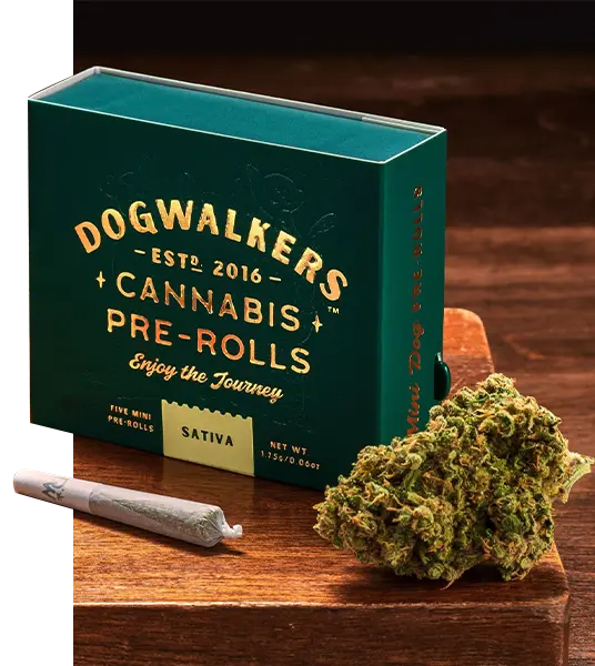 Cannabis Pre Roll Packaging