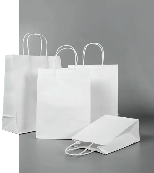 White Paper Bags